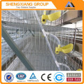 Automatic Quail/chicken farm cage New design quail/chicken layer cage for poultry farm